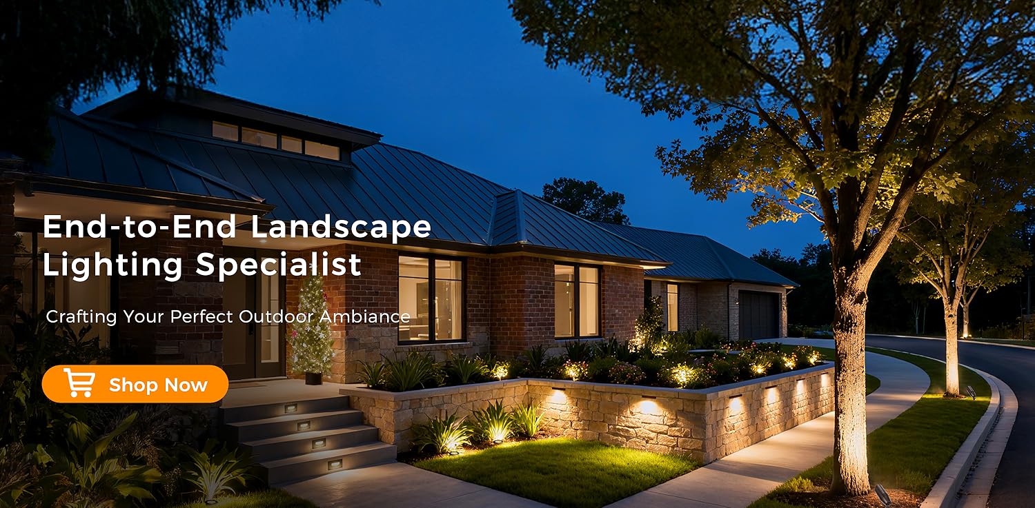 Illuminate Your World with Cloudy Bay